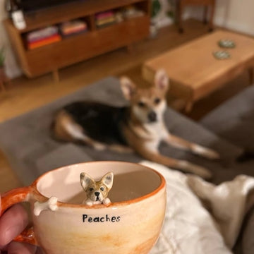 Custom Pet Mugs